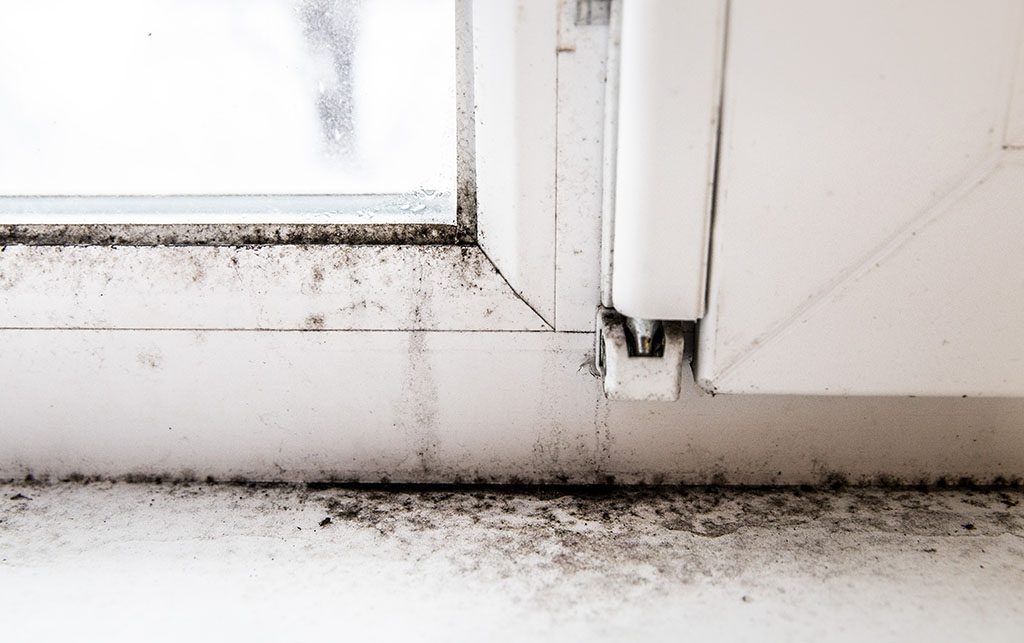 Ventilación forzada para evitar condensación en tu casa con buenas opiniones y al mejor precio