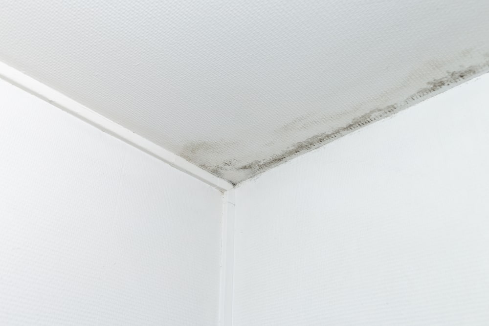 Solución definitiva a las humedades en el techo-min