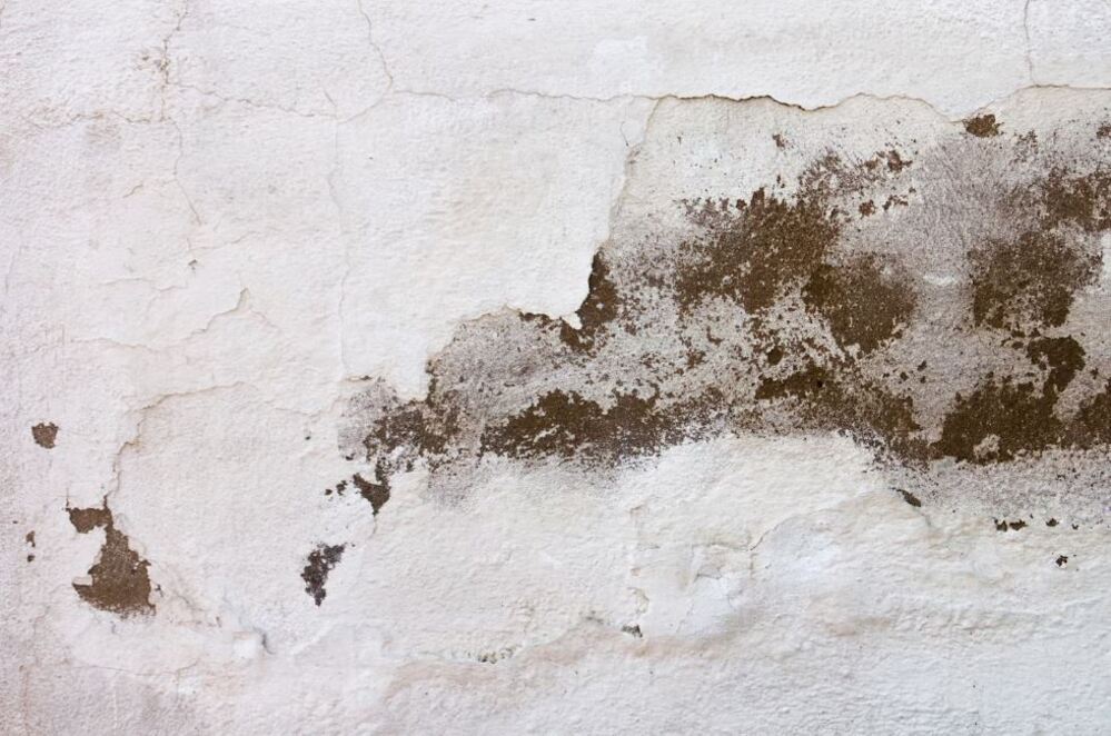 Cómo eliminar la humedad en paredes por capilaridad