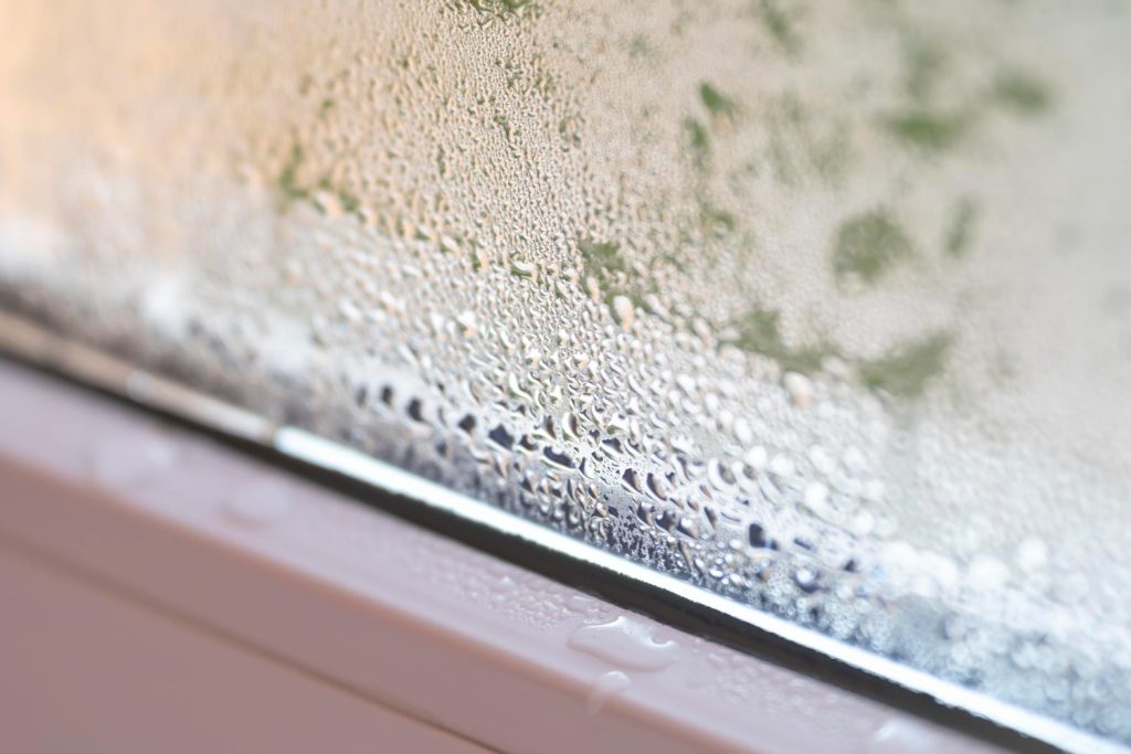 Tratamiento profesional para condensaciones en viviendas
