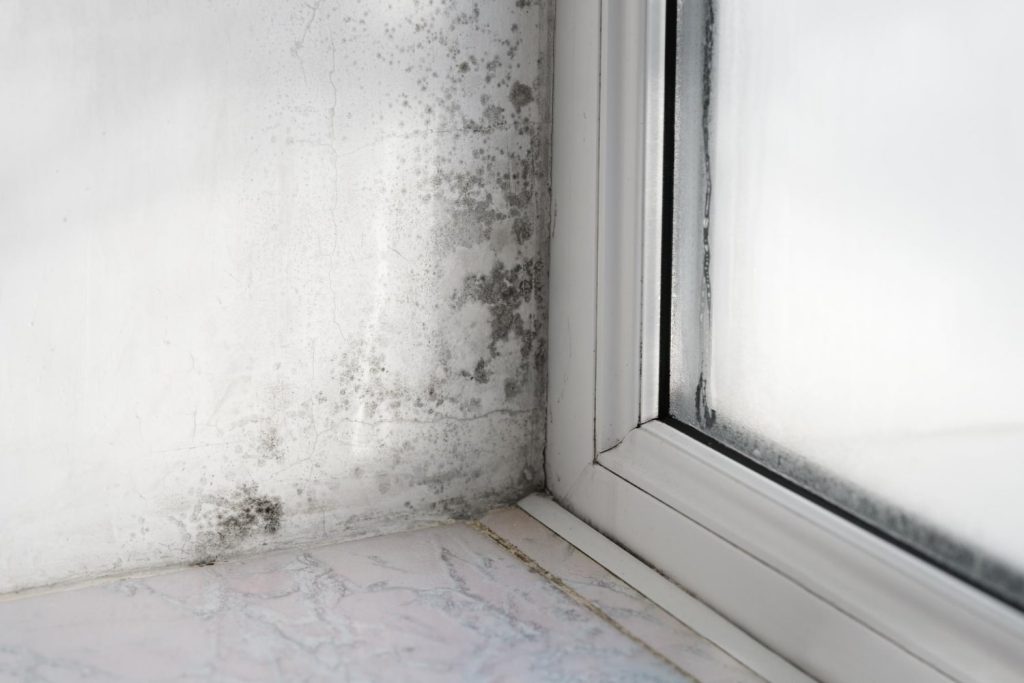 humedades en paredes min