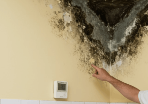 tratamiento y diagnóstico profesional de humedades