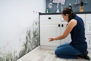 eliminar la humedad en casa