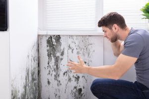 mejor solución para eliminar la humedad en casa